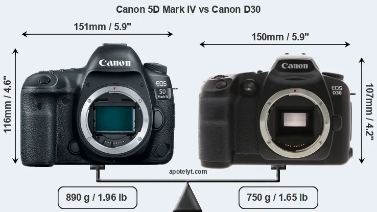 Size Canon 5D Mark IV vs Canon D30
