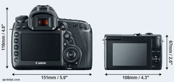Comparison 5D Mark IV or M100 rear