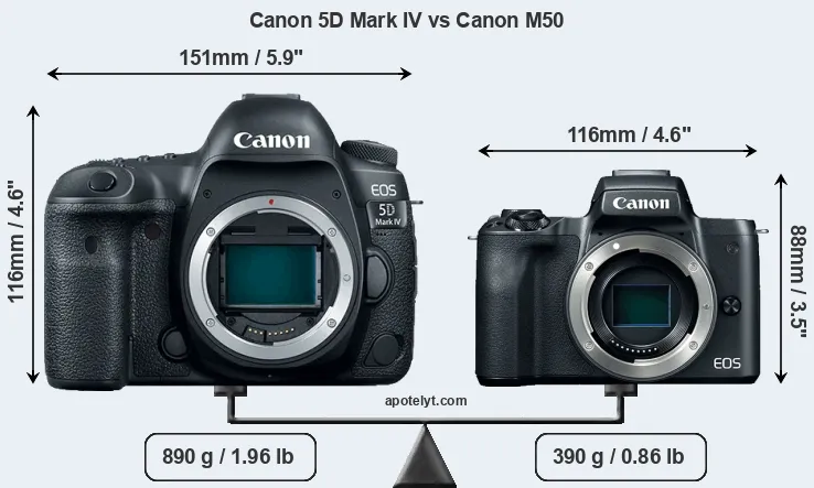 Size Canon 5D Mark IV vs Canon M50