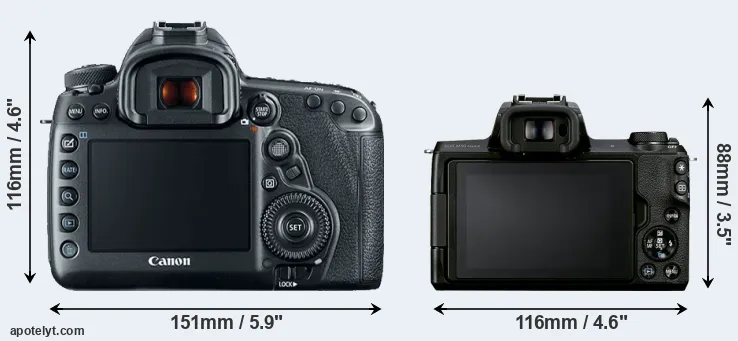 Comparison 5D Mark IV or M50 Mark II rear