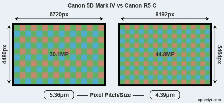 5D Mark IV versus R5 C MP