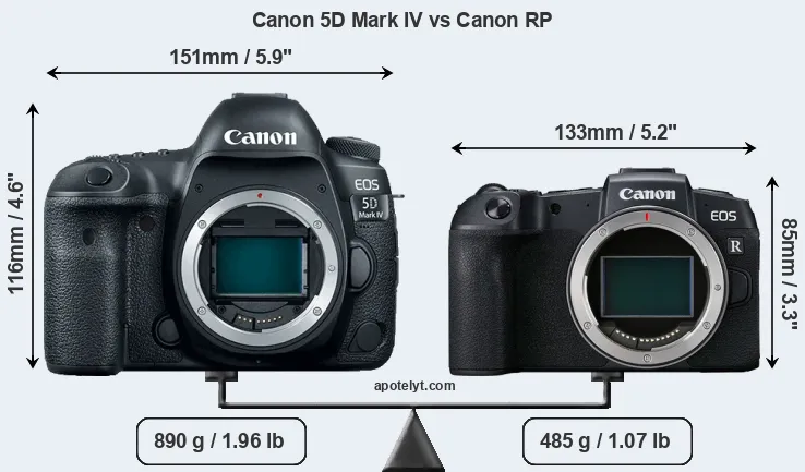 Size Canon 5D Mark IV vs Canon RP