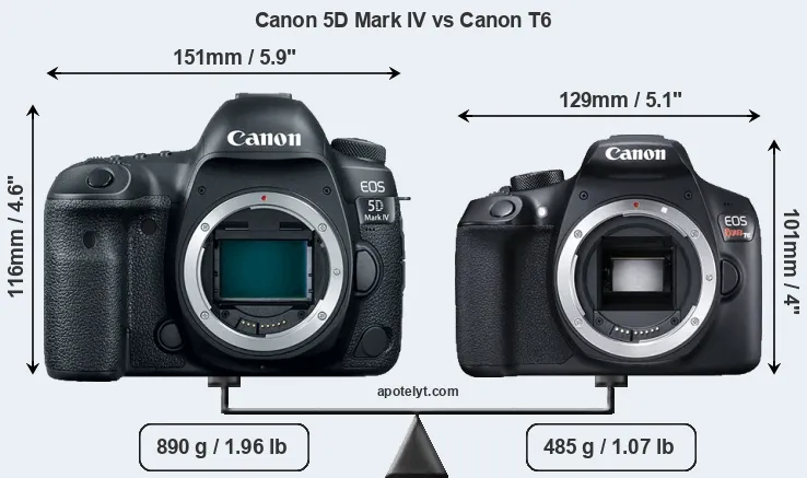 Size Canon 5D Mark IV vs Canon T6
