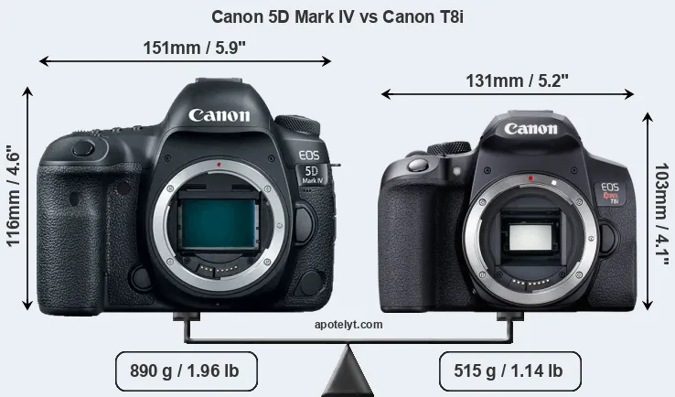 Size Canon 5D Mark IV vs Canon T8i