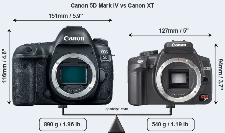 Size Canon 5D Mark IV vs Canon XT