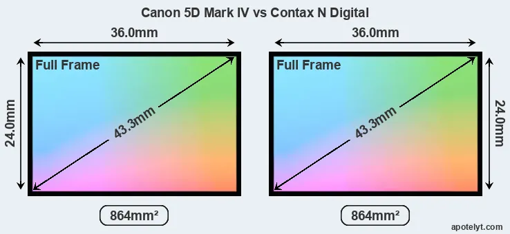 Canon 5D Mark IV and Contax N Digital sensor measures