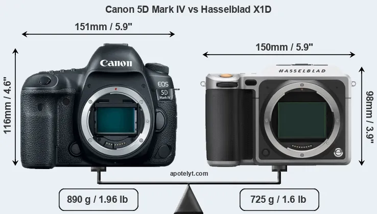Size Canon 5D Mark IV vs Hasselblad X1D