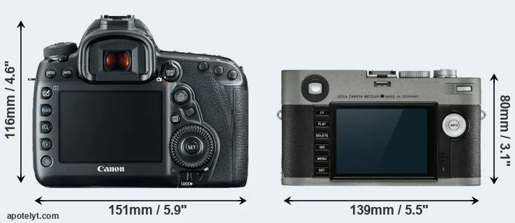 Comparison 5D Mark IV or M-E Typ 240 rear