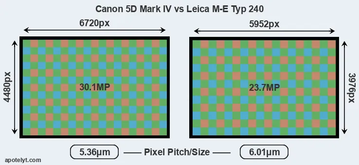 5D Mark IV versus M-E Typ 240 MP
