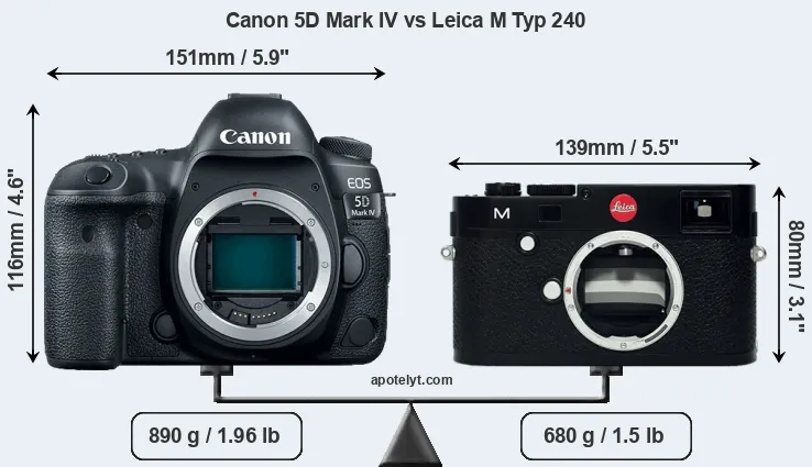 Size Canon 5D Mark IV vs Leica M Typ 240