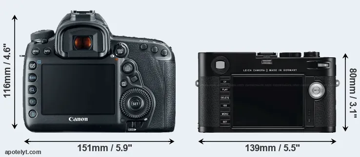 Comparison 5D Mark IV or M Typ 240 rear