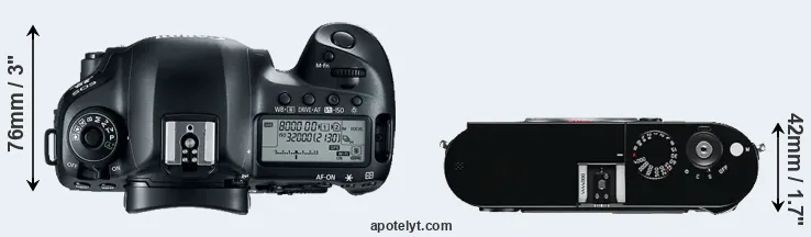 Compare 5D Mark IV versus M Typ 240 top