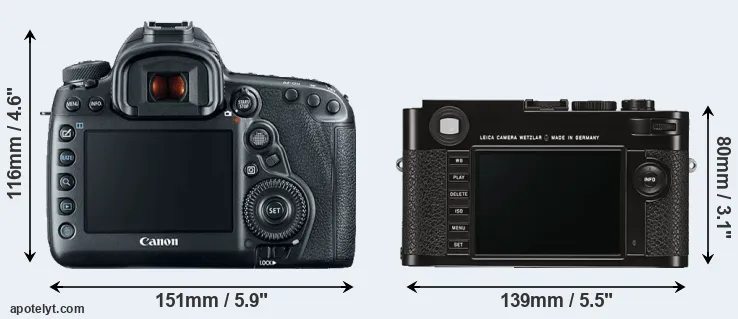 Comparison 5D Mark IV or M Typ 262 rear