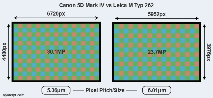 5D Mark IV versus M Typ 262 MP