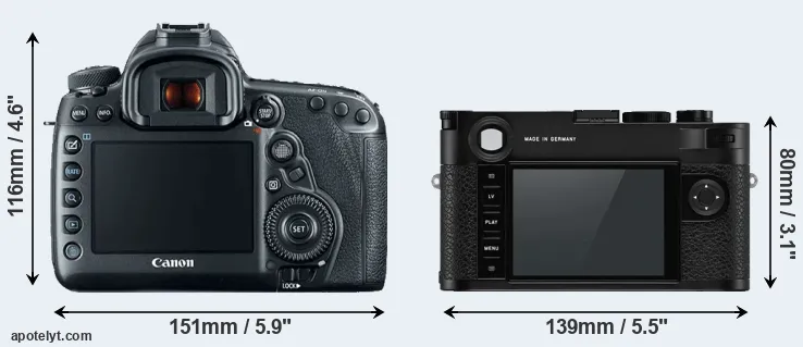 Comparison 5D Mark IV or M10-P rear