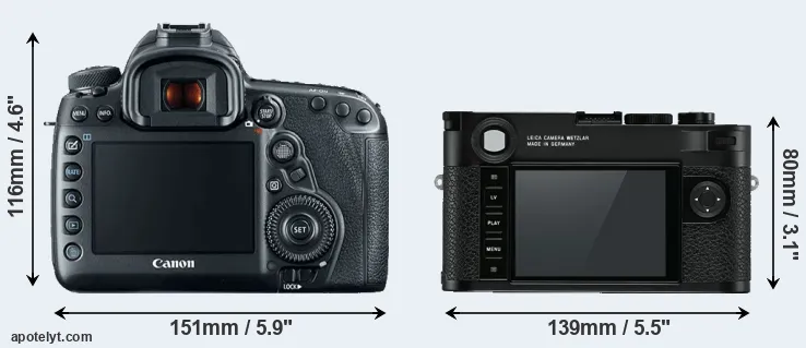 Comparison 5D Mark IV or M10 rear