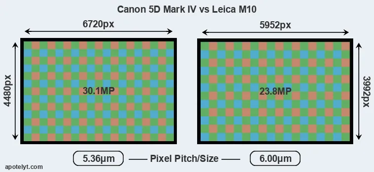 5D Mark IV versus M10 MP