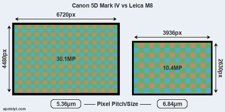5D Mark IV versus M8 MP