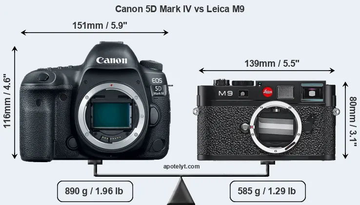 Size Canon 5D Mark IV vs Leica M9
