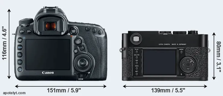 Comparison 5D Mark IV or M9 rear