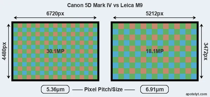 5D Mark IV versus M9 MP