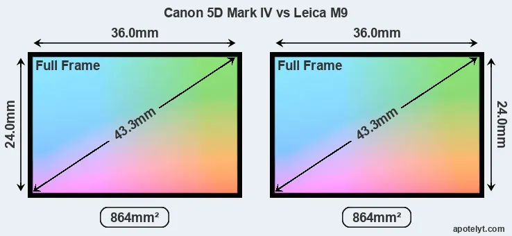 Canon 5D Mark IV and Leica M9 sensor measures