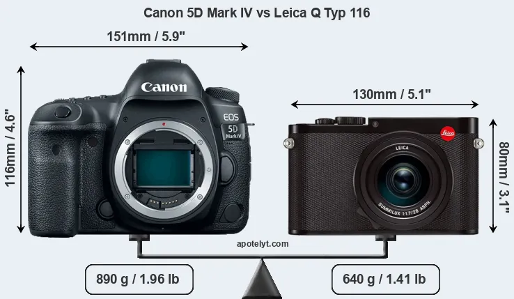 Size Canon 5D Mark IV vs Leica Q Typ 116