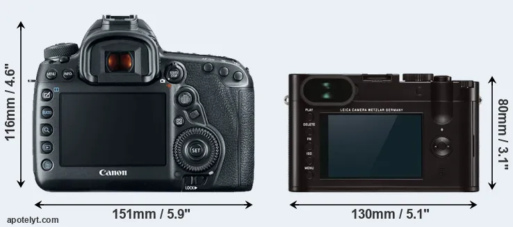 Comparison 5D Mark IV or Q Typ 116 rear