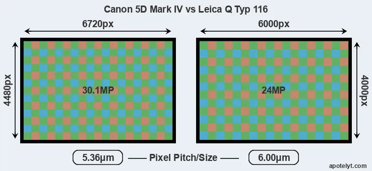 5D Mark IV versus Q Typ 116 MP