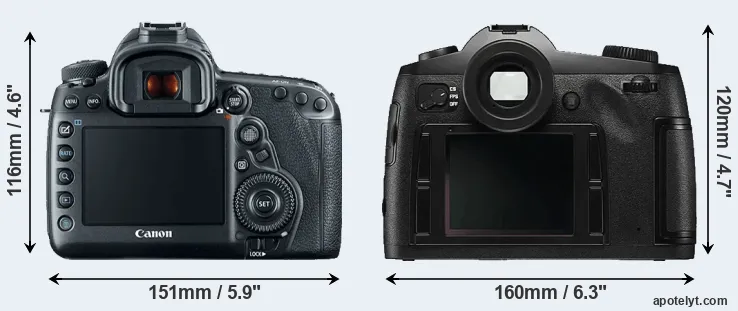Comparison 5D Mark IV or S Typ 006 rear