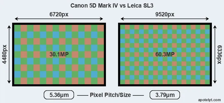 5D Mark IV versus Leica SL3 MP