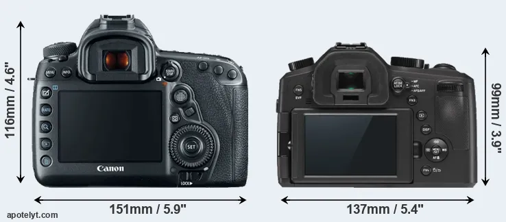 Comparison 5D Mark IV or V-LUX Typ 114 rear