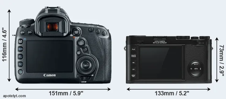 Comparison 5D Mark IV or X Typ 113 rear
