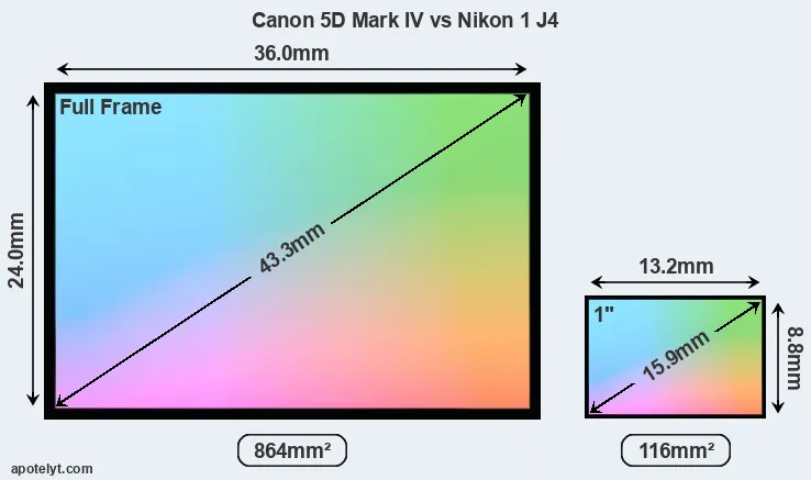 Canon 5D Mark IV and Nikon 1 J4 sensor measures