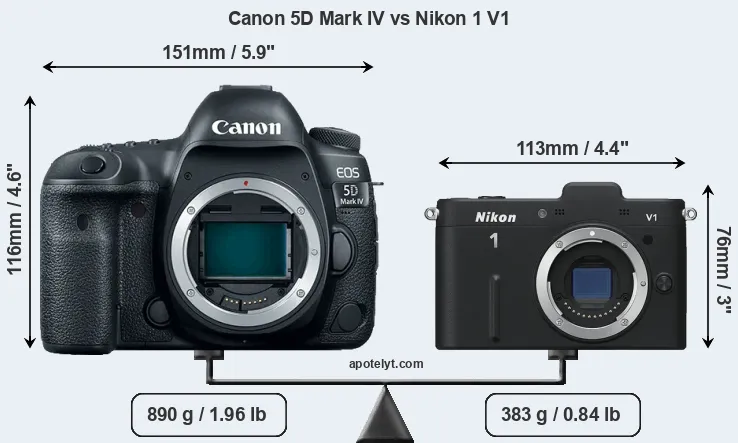 Size Canon 5D Mark IV vs Nikon 1 V1