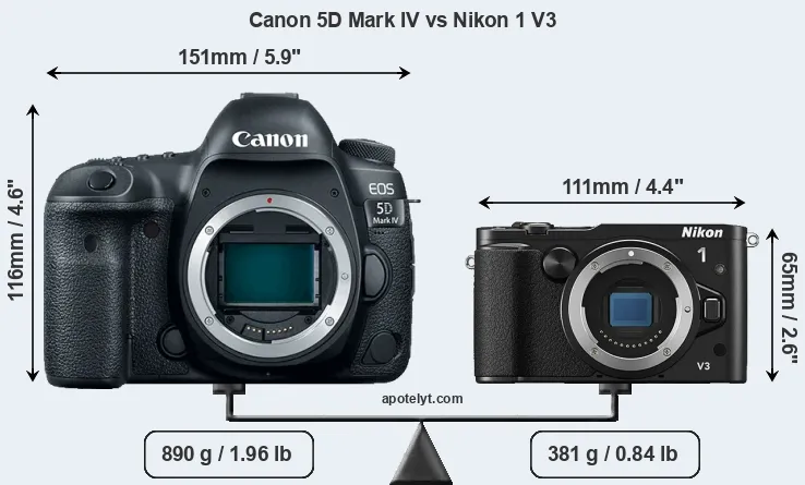 Size Canon 5D Mark IV vs Nikon 1 V3