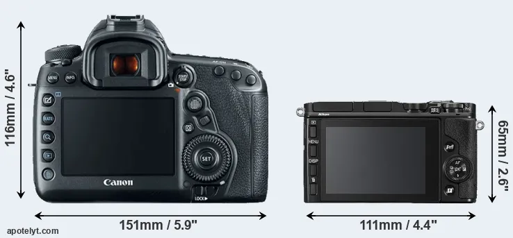Comparison 5D Mark IV or V3 rear