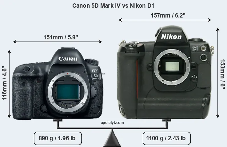 Size Canon 5D Mark IV vs Nikon D1