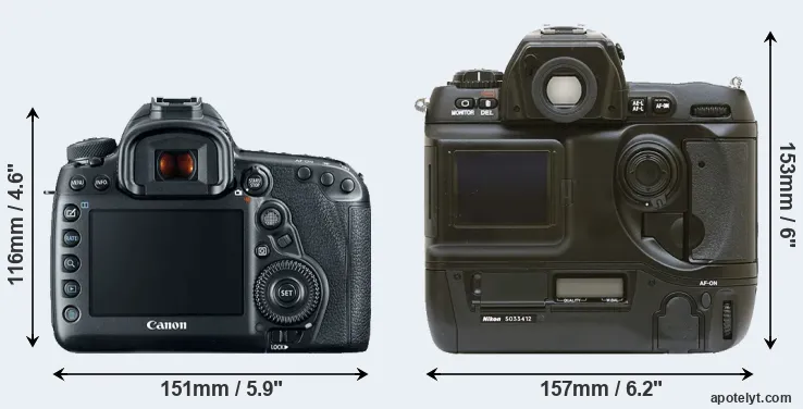 Comparison 5D Mark IV or D1 rear