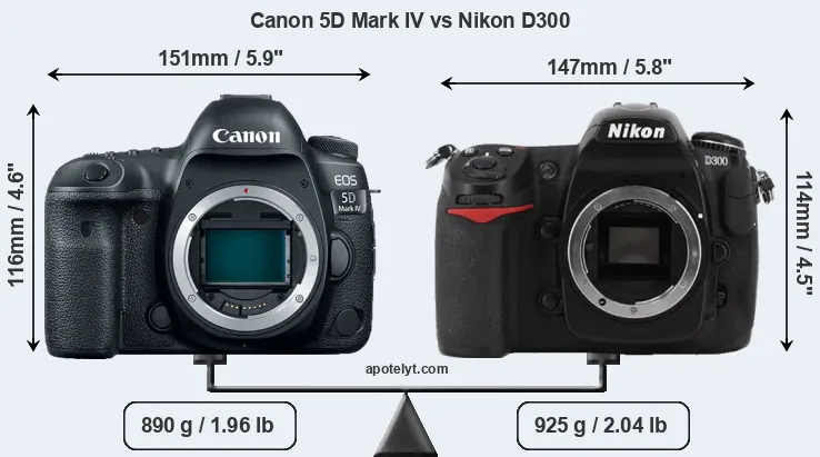 Size Canon 5D Mark IV vs Nikon D300