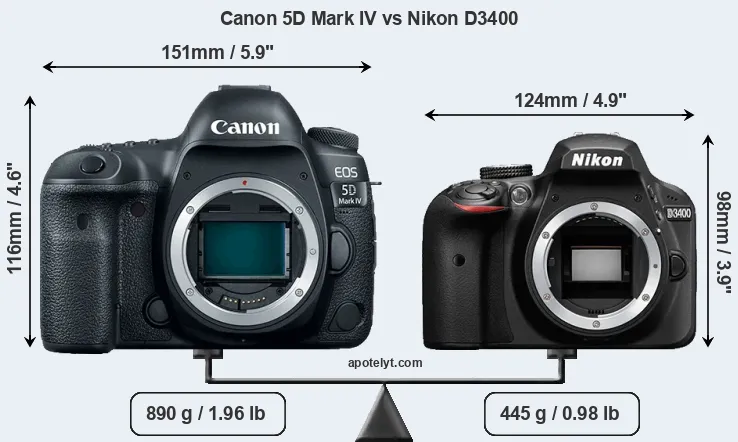 Size Canon 5D Mark IV vs Nikon D3400