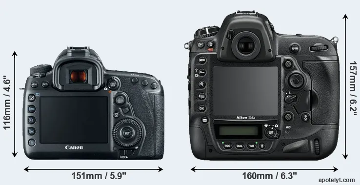 Comparison 5D Mark IV or D4S rear