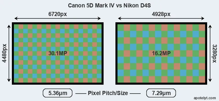 5D Mark IV versus D4S MP