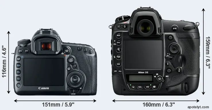 Comparison 5D Mark IV or D5 rear