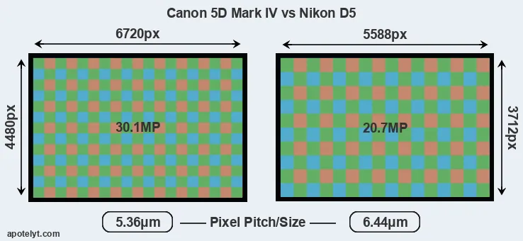 5D Mark IV versus D5 MP