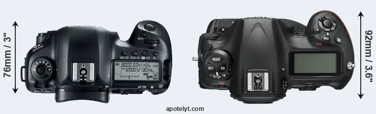 Compare 5D Mark IV versus D5 top