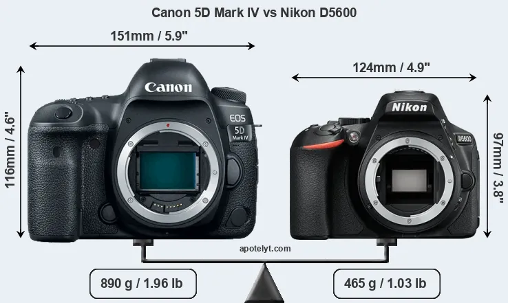 Size Canon 5D Mark IV vs Nikon D5600