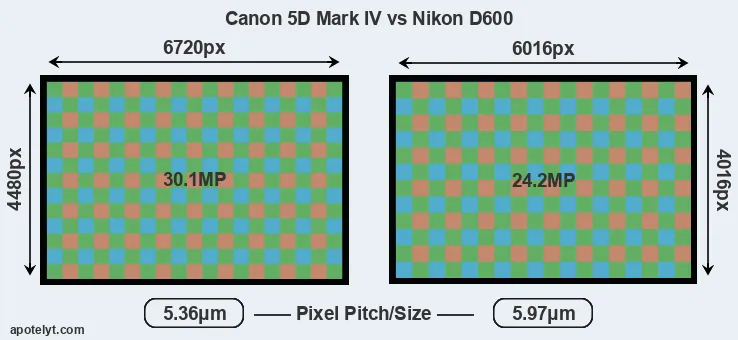 5D Mark IV versus D600 MP