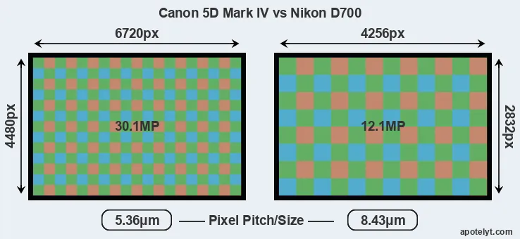 5D Mark IV versus D700 MP