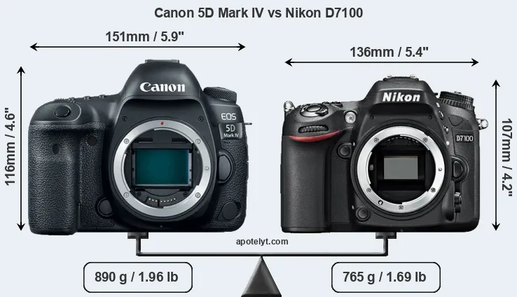 Size Canon 5D Mark IV vs Nikon D7100